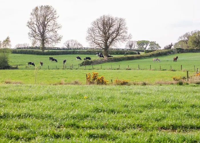 Old Village Barn Holiday home Woodford (Connacht)